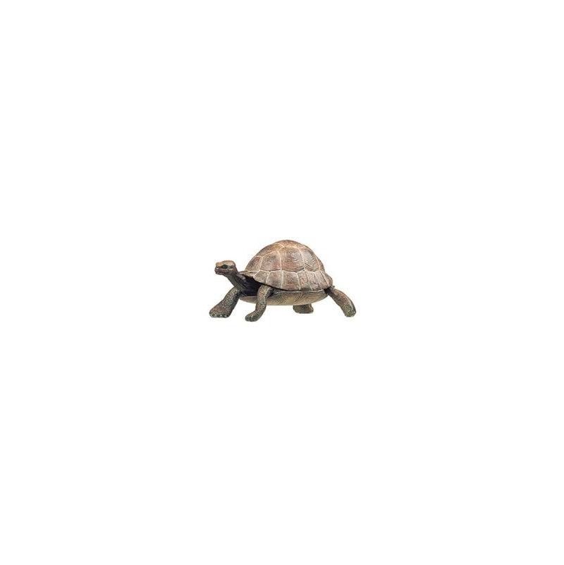 Tortue Papo - IkaIpaka Royan