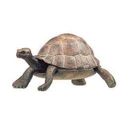 Tortue Papo - IkaIpaka Royan