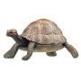 Tortue Papo - IkaIpaka Royan