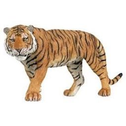 Tigre Papo - IkaIpaka Royan