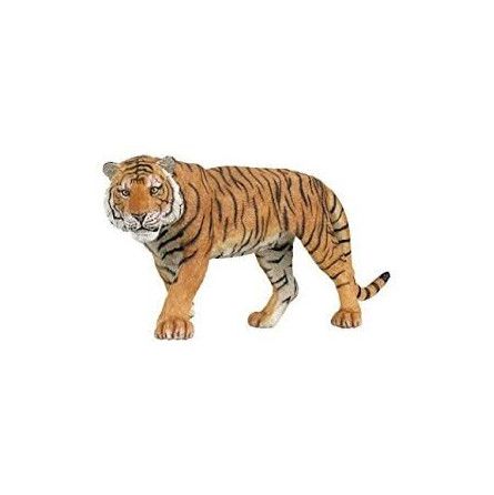 Tigre Papo - IkaIpaka Royan