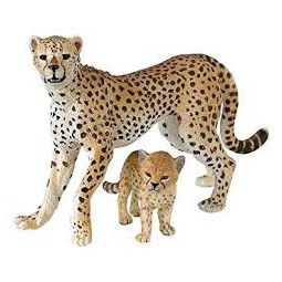 Guepard et son bébé Papo - IkaIpaka Royan