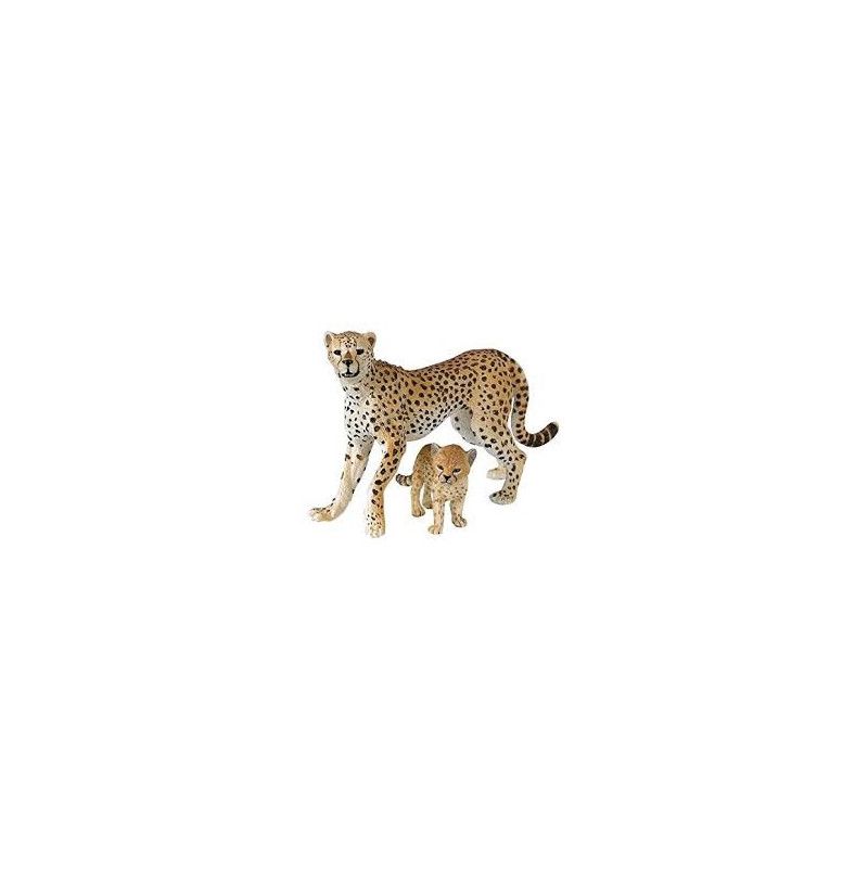 Guepard et son bébé Papo - IkaIpaka Royan