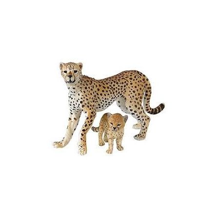 Guepard et son bébé Papo - IkaIpaka Royan