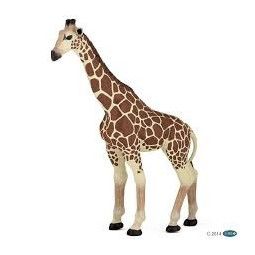 Girafe Papo - IkaIpaka Royan