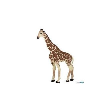 Girafe Papo - IkaIpaka Royan