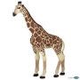 Girafe Papo - IkaIpaka Royan