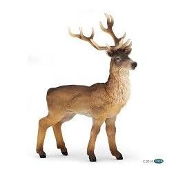 Cerf Papo - IkaIpaka Royan