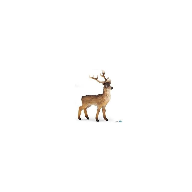 Cerf Papo - IkaIpaka Royan