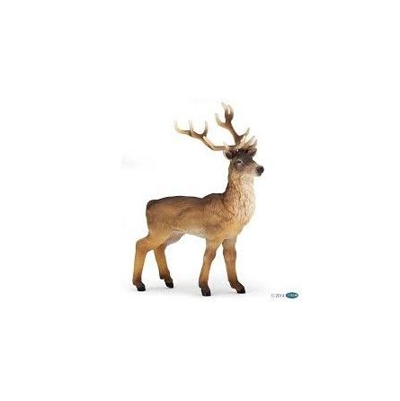 Cerf Papo - IkaIpaka Royan