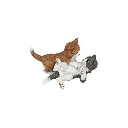 Chatons jouant Papo - IkaIpaka Royan
