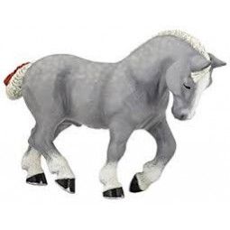 Percheron gris Papo - IkaIpaka Royan