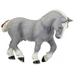 Percheron gris Papo - IkaIpaka Royan