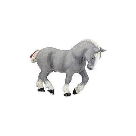 Percheron gris Papo - IkaIpaka Royan