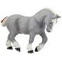 Percheron gris Papo - IkaIpaka Royan