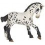 Poulain Appaloosa noir Papo Papo Ikaipaka jeux & jouets Royan