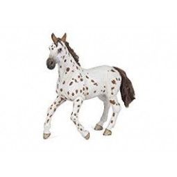 Jument appaloosa Papo - IkaIpaka Royan
