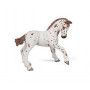 Poulain appaloosa brun Papo - IkaIpaka Royan