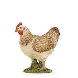 Poule Rousse Papo - IkaIpaka Royan