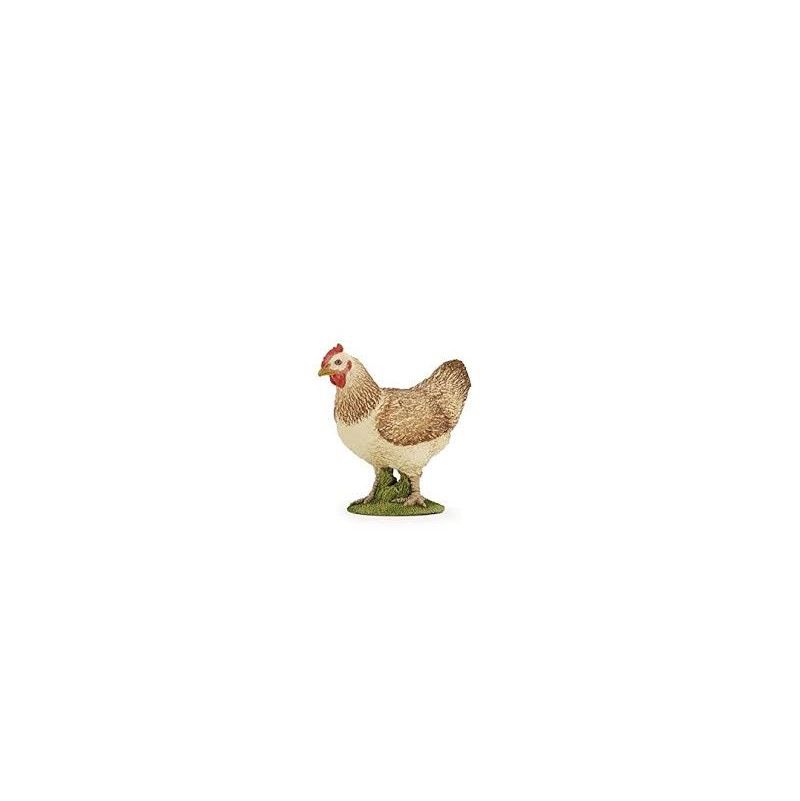 Poule Rousse Papo - IkaIpaka Royan