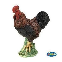 Coq Papo - IkaIpaka Royan