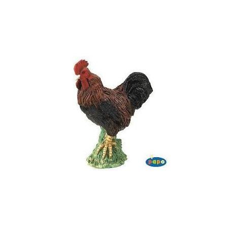 Coq Papo - IkaIpaka Royan