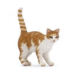 Chat roux Papo - IkaIpaka Royan