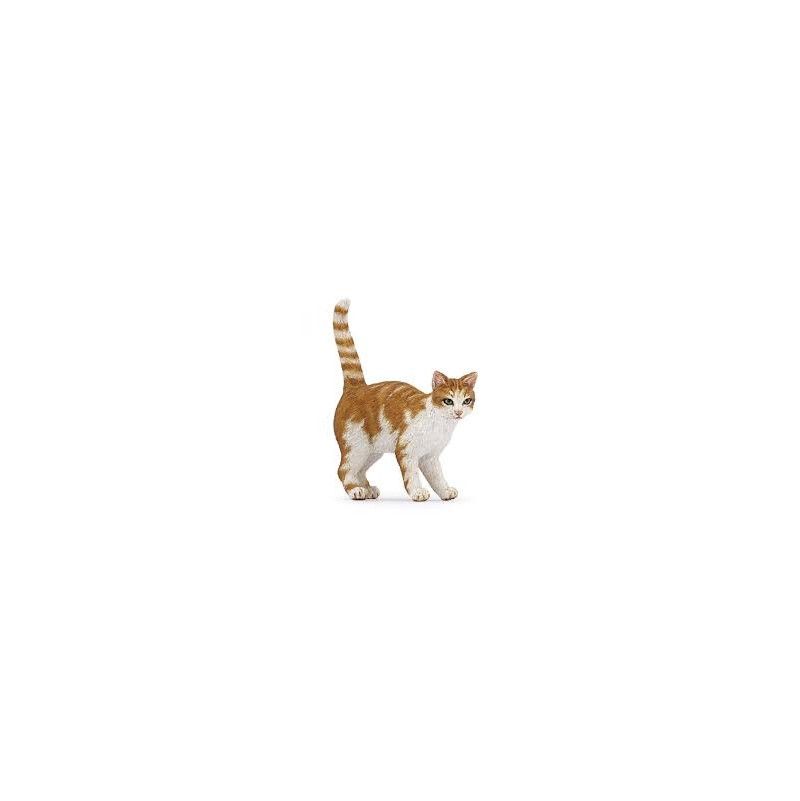 Chat roux Papo - IkaIpaka Royan