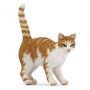 Chat roux Papo - IkaIpaka Royan