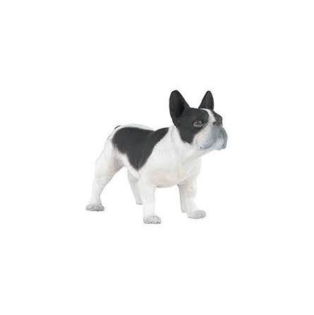 Bouledogue français noir et blanc - IkaIpaka Royan