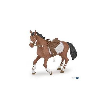 Cheval de la cavaliere fashion hiver - IkaIpaka Royan