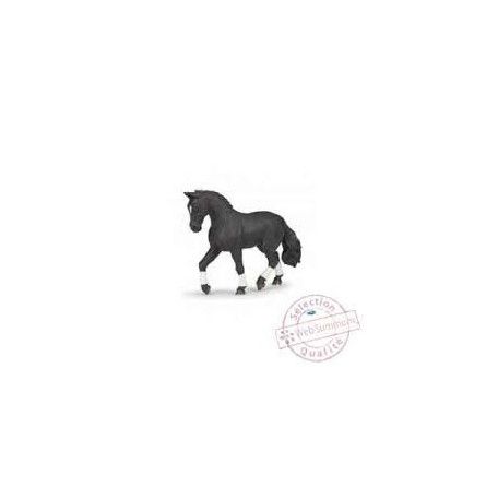 Cheval Hanovrien - IkaIpaka Royan