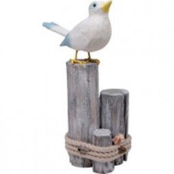 Mouette loreley - IkaIpaka Royan