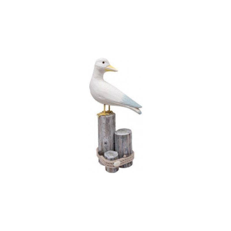 Mouette maximilien - IkaIpaka Royan