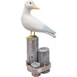 Mouette maximilien - IkaIpaka Royan