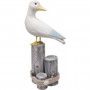 Mouette maximilien - IkaIpaka Royan