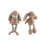 Mirabelle ou malou gray - IkaIpaka Royan