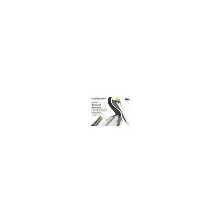 Pepin bloc de 20 carte postale oiseaux - IkaIpaka Royan