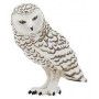 Harfang des neiges (chouette) Papo - IkaIpaka Royan
