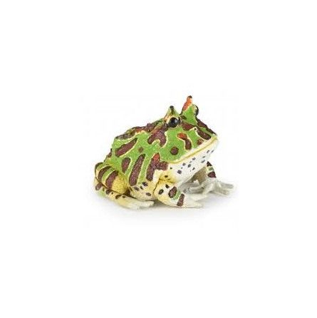 Grenouille cornue - IkaIpaka Royan