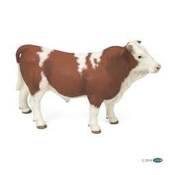 Taureau simmental - IkaIpaka Royan