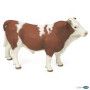Taureau simmental - IkaIpaka Royan