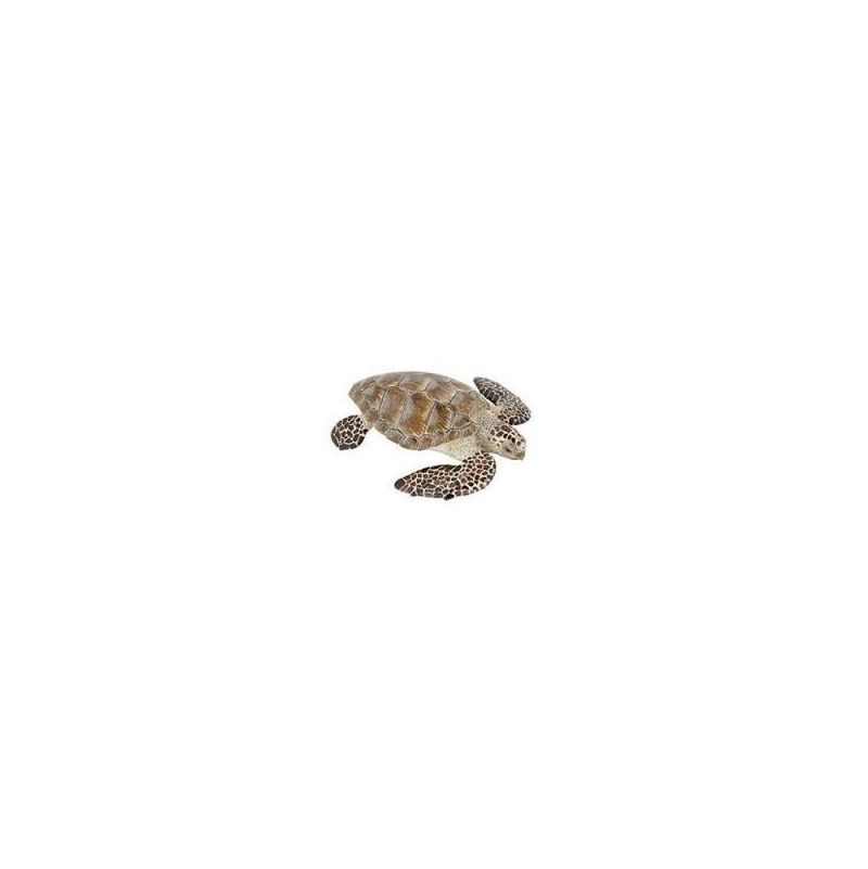 Tortue de mer Caouanne Papo - IkaIpaka Royan
