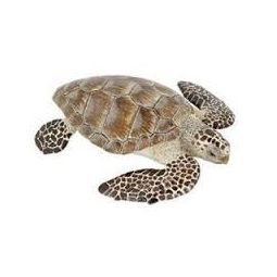 Tortue de mer Caouanne Papo - IkaIpaka Royan