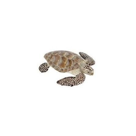 Tortue de mer Caouanne Papo - IkaIpaka Royan