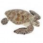 Tortue de mer Caouanne Papo - IkaIpaka Royan