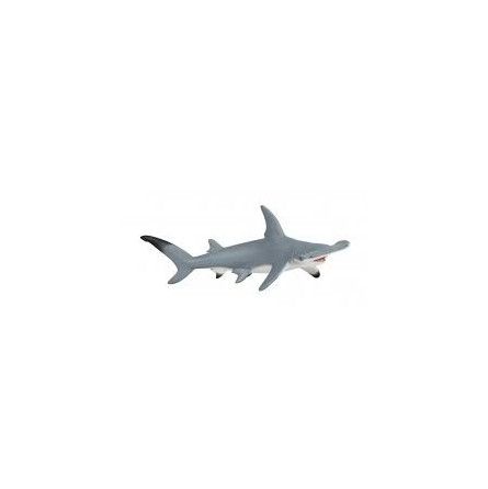 Requin marteau - IkaIpaka Royan