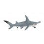 Requin marteau - IkaIpaka Royan