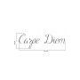 My D&Co - Carpe Diem - IkaIpaka Royan