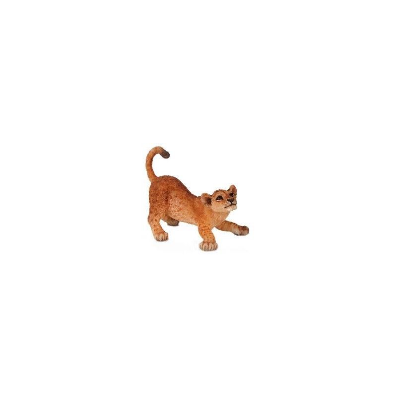 Lionceau jouant - IkaIpaka Royan